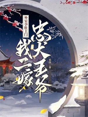我二嫁忠犬王爷全文免费阅读
