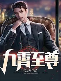 九霄至尊赵平安结局