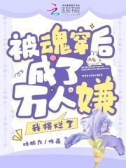 穿成魂后被拐了