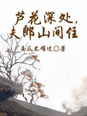 芦花深处觅什么