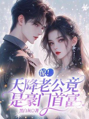 天降老公无限宠免费阅读大结局