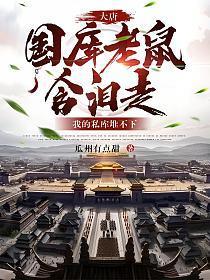 大唐国库老鼠含泪走我的私库堆不下了