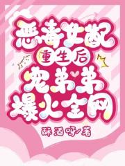 重生恶毒女配之后