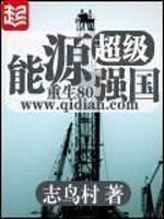 超级能源强国 第229章