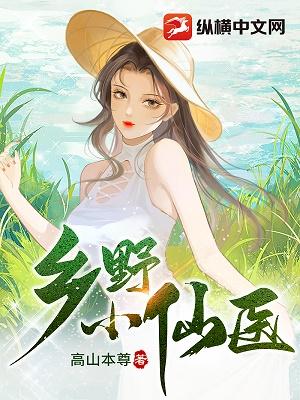 乡野小医仙有声