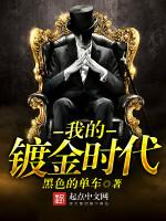 我的镀金时代TXT