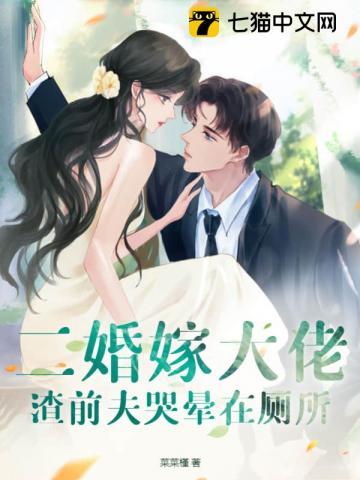 二嫁前妻太难追