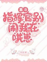 我在哄崽txt
