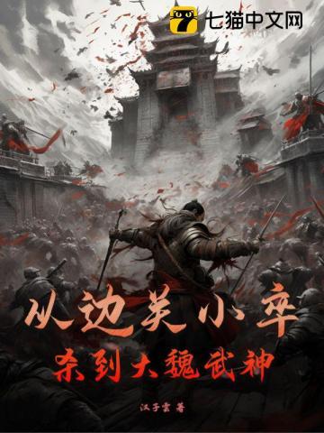从边关小卒杀到大夏至尊