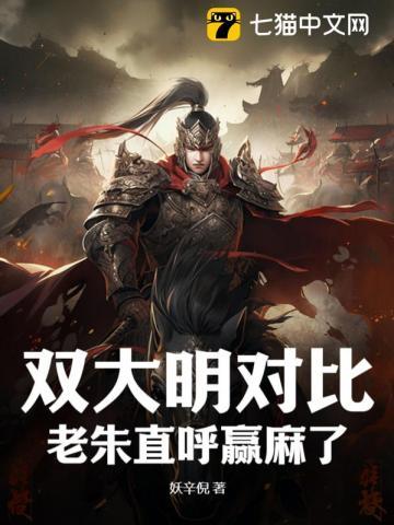 双大明对比