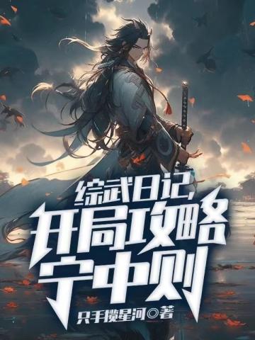 综武日记
