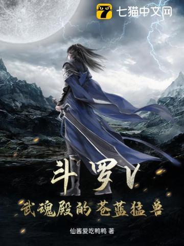 斗罗武魂殿战队