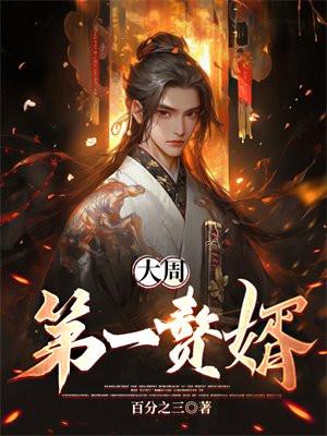 大周第一赘婿沈镜