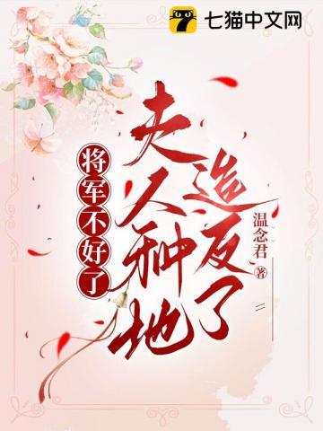 将军夫人不好做