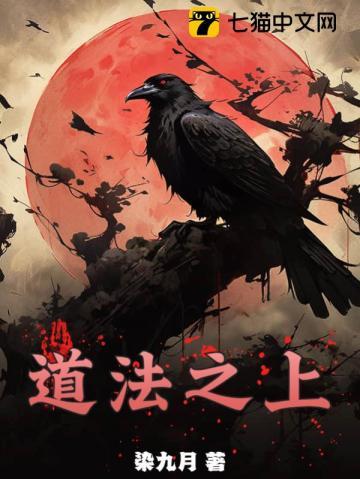 道法之上怎么样