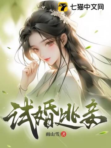 试婚逃妾TXT全本