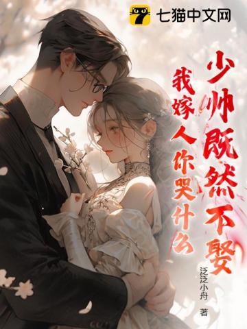 少帅又娶姨太太了全文无弹窗阅读
