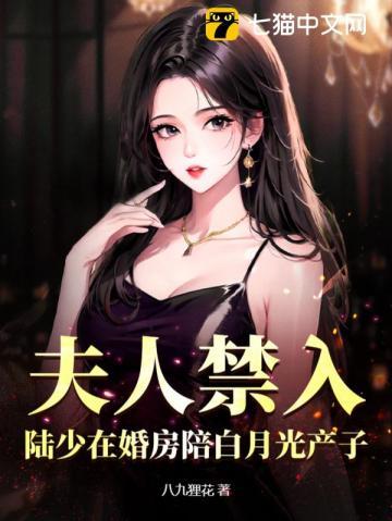 夫人禁入陆少在婚房陪白月光产子