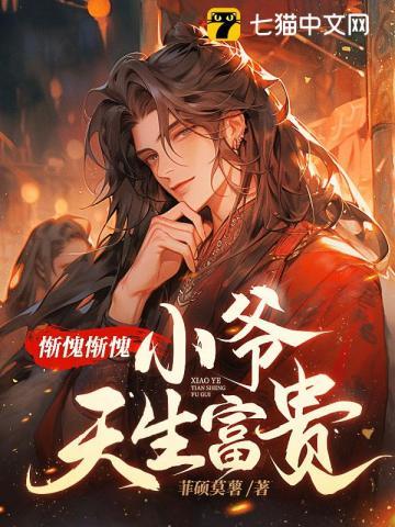 小爷天生富贵武功境界