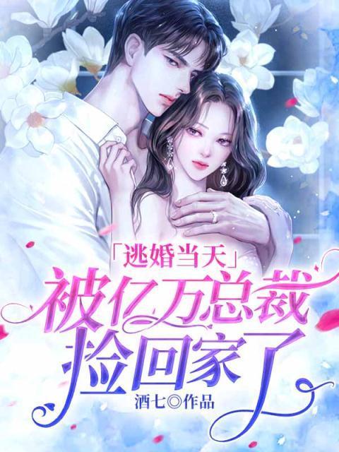 被逃婚后我嫁给了首富