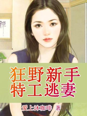 狂野特工电影