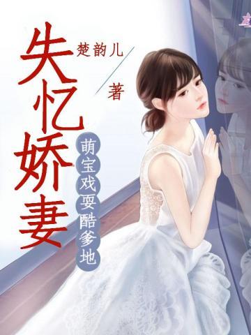 失忆娇妻傲娇总裁