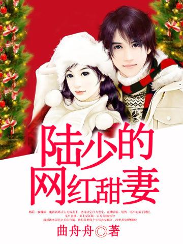 陆少的甜心妻