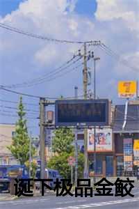 诞下极品金鲛宝宝后免费阅读