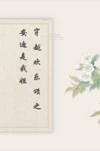 穿越欢乐颂之安迪弟弟
