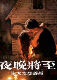 夜晚将至合集最新