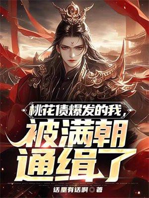 风流债讲的什么
