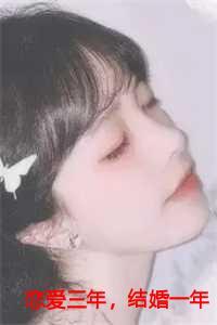 恋爱三年结婚一年第8章