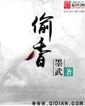 偷香兵王全文免费阅读