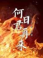 何日君再来什么意思