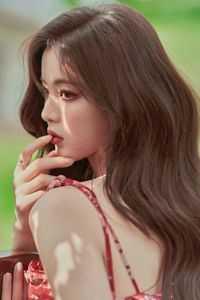 女主是闻璐的