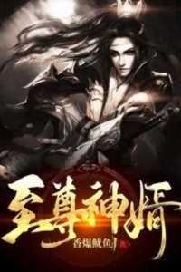 至尊神婿叶昊郑漫儿全集最新更新