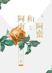 阿南和阿蛮书评
