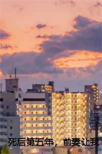 前妻让我去参加婚礼后续
