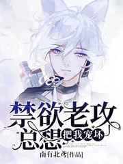 禁欲老攻总想宠坏我原著叫什么