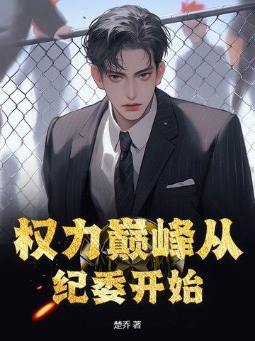 权力巅峰后面是什么