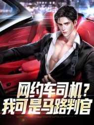 网约车司机?我可是马路判官怎么办