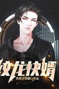纹龙第三部全集