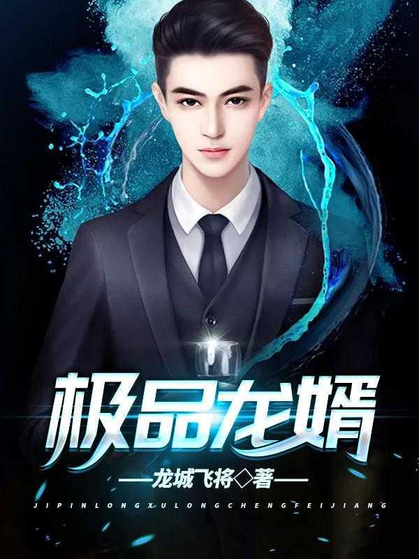 极品龙婿白辰苏瑶