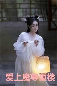 穿越爱上魔尊重楼宠文