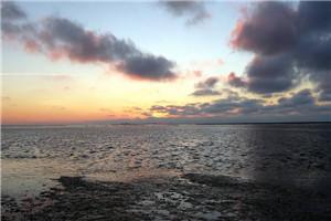 大唐王朝电影 大唐王朝电影