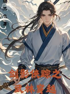 剑影侠踪之武林穿越 剑影侠踪之武林穿越