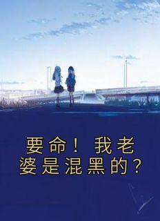 沈浪向小雅