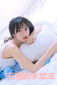 宋清婉季霖成